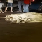 WhatsApp Image 2025-12-23 at 08.35.18