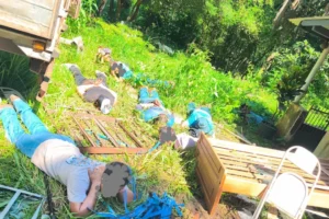 WhatsApp Image 2025-12-26 at 15.04.36