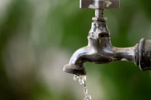 WhatsApp Image 2025-12-26 at 18.29.14 (1)