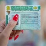 a23a67b4-cnh-novas-regras