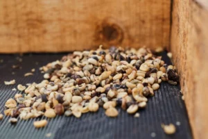 aa6e886c-dc3e-4183-9d2d-291ffe434879