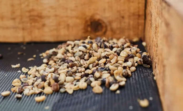 aa6e886c-dc3e-4183-9d2d-291ffe434879