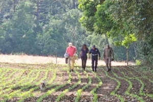 desaparecida-goias-encontrada-parana-2