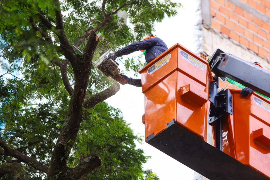 ea90e757-57d1-4ce3-b934-bf77c5faed4d