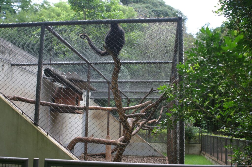 f5dccbea2e015c6613b9625b3ba3c480