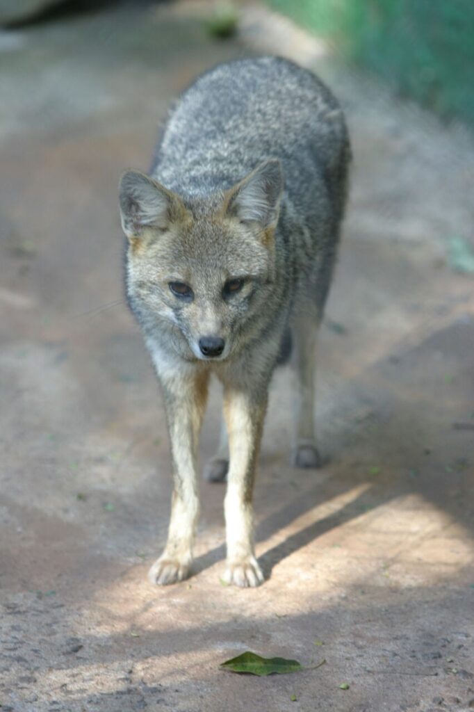 f5e0f71fd05dfbef327823ffdb8a010f