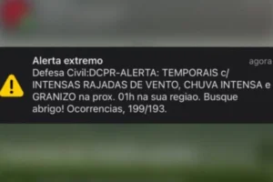 felippe-1-1-1-900×505.jpg (1)