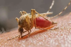 ff7b57d38e0f3ae79c61f036bbd85db2