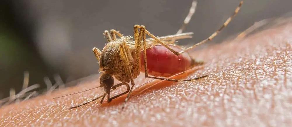 ff7b57d38e0f3ae79c61f036bbd85db2