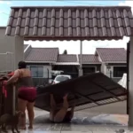 image_00618463_0_202512272215