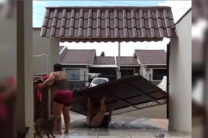 image_00618463_0_202512272215