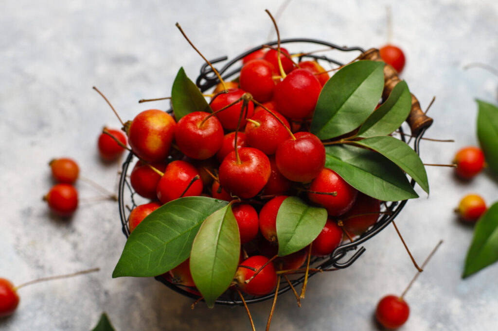 Ripe red apples in storage food basket on concrete background,sp