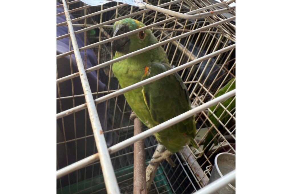 whatsapp_image_2025-12-02_at_15.39.29_3