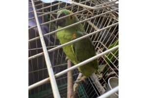 whatsapp_image_2025-12-02_at_15.39.29_3