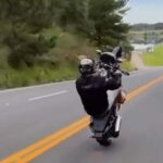 whatsapp_image_2025-12-16_at_08.18.06