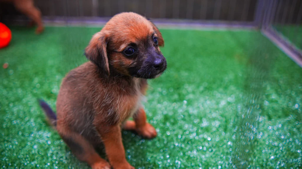 361a4cc8-1ca9-4c95-94fe-f8ef007079ba