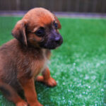 361a4cc8-1ca9-4c95-94fe-f8ef007079ba