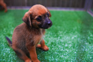 361a4cc8-1ca9-4c95-94fe-f8ef007079ba