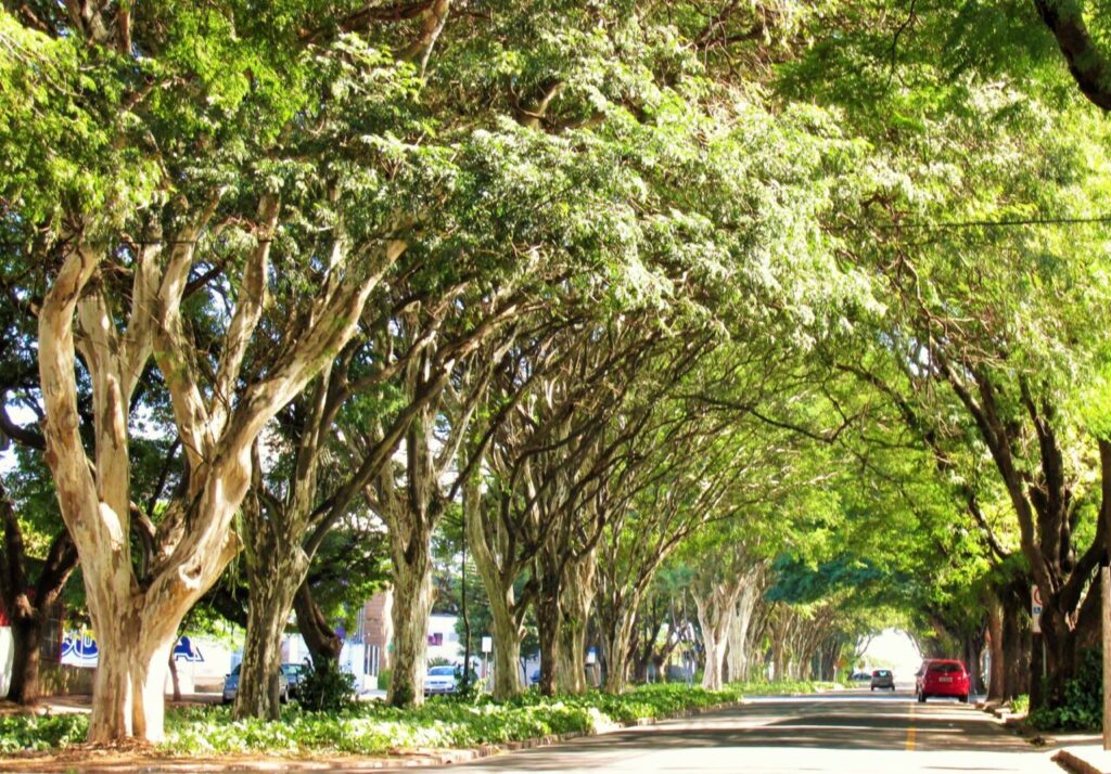 38899008_2114015665276721_7683543295355518976_n