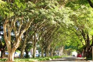 38899008_2114015665276721_7683543295355518976_n