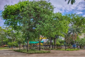 480560389_959300406305364_6145797759810414087_n (1)