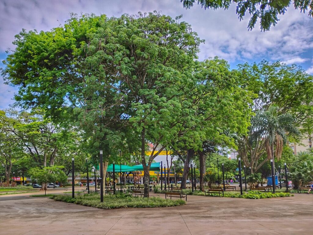 480560389_959300406305364_6145797759810414087_n (1)