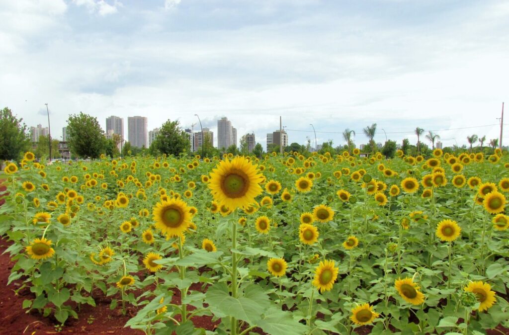 617510024_1469703661407712_4273030333724204690_n