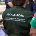 63e12df2-a320-4924-ac7a-1637df35173e