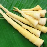 758831a5-broto-de-bambu