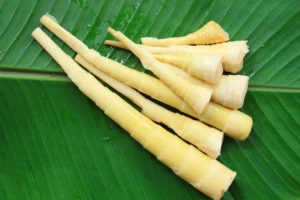 758831a5-broto-de-bambu