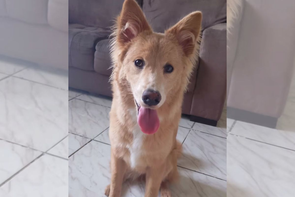 789909ce-pi7_tool_x-28