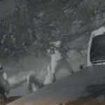 Captura de tela 2026-01-23 083918