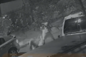 Captura de tela 2026-01-23 083918