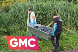 Design sem nome (12)