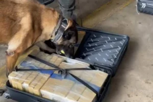 Design sem nome (20)