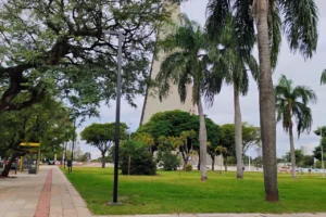 Design sem nome – 2026-01-16T075101.723