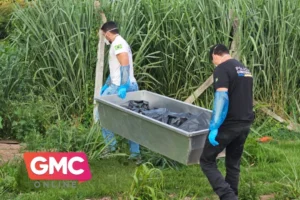 Design sem nome – 2026-01-19T191338.219