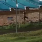 Design sem nome – 2026-01-29T164817.254