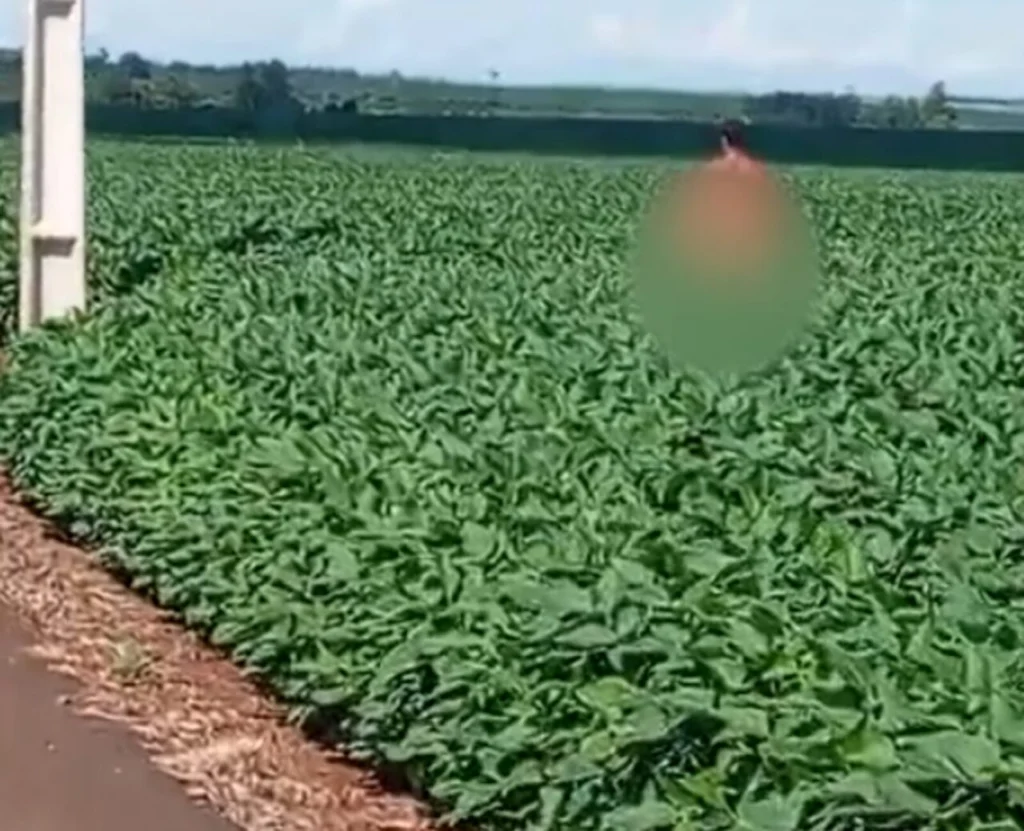 Design sem nome (27)