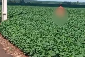 Design sem nome (27)