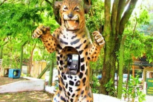 Design sem nome (34)