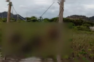 O-material-explicitamente-exposto-como-forma-de-am-01055768-0-202601121027-ProportionalFillBackground