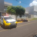 WhatsApp Image 2026-01-05 at 10.18.06 (2)