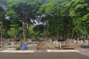 WhatsApp Image 2026-01-06 at 09.51.04