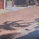 WhatsApp Image 2026-01-08 at 15.42.37 (1)