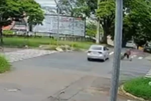 WhatsApp Image 2026-01-09 at 10.32.01