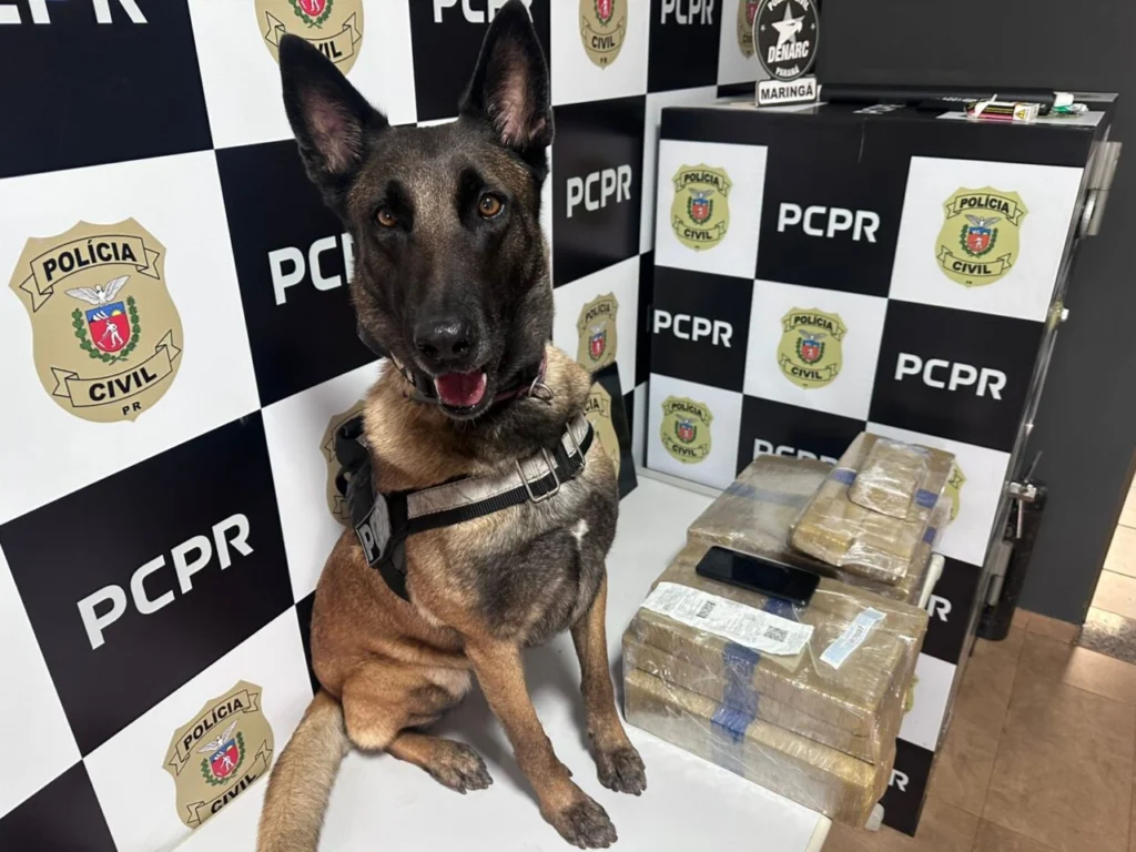 WhatsApp Image 2026-01-11 at 16.51.24