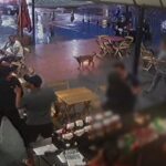 WhatsApp Image 2026-01-12 at 11.39.48