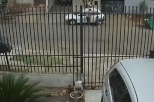 WhatsApp Image 2026-01-12 at 12.40.43