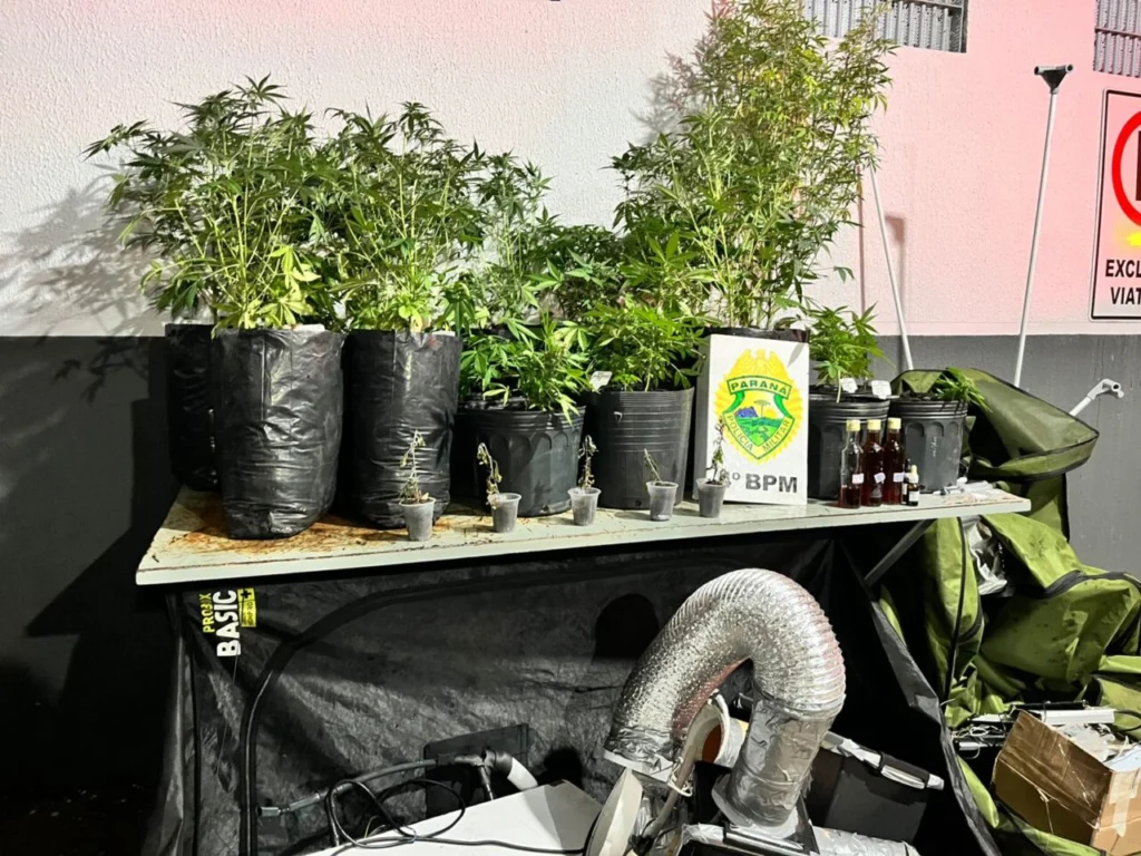 WhatsApp Image 2026-01-13 at 07.18.40 (1)